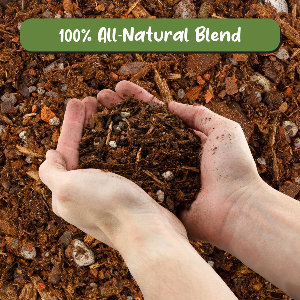 Soil Sunrise closeup reveals pine bark, sand, pumice textures