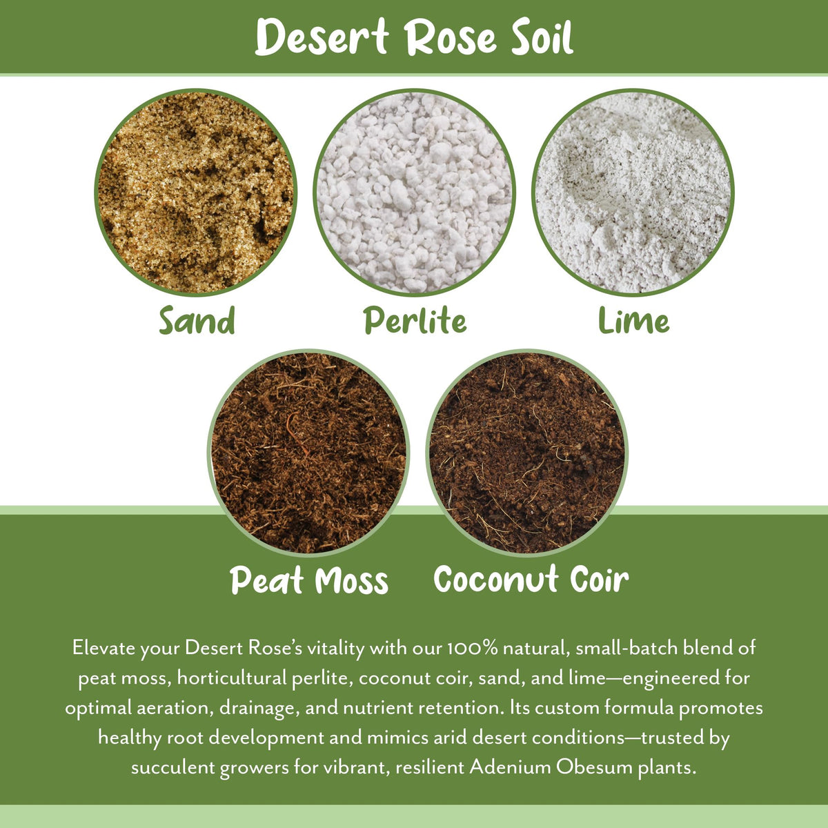 Soil Sunrise Close-up soil texture demonstrates crumbly breathable mix for cacti.