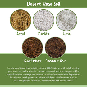 Soil Sunrise Close-up soil texture demonstrates crumbly breathable mix for cacti.