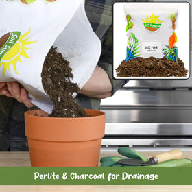 Soil Sunrise coconut coir and pine bark blend supports healthy root airflow.