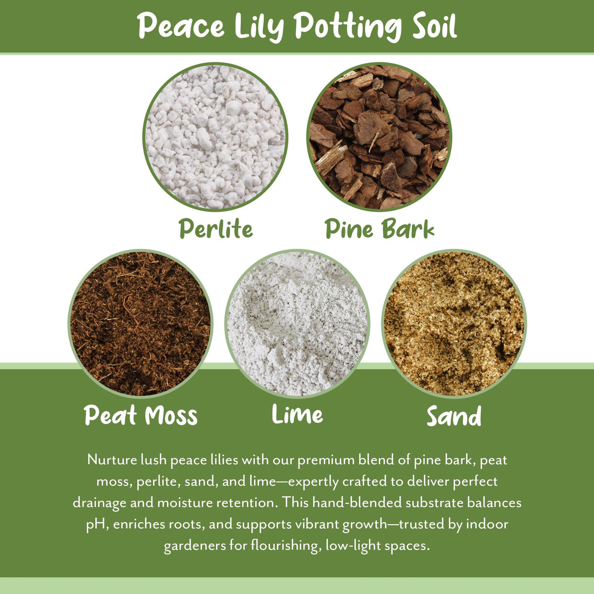 Soil Sunrise container gardening setup demonstrates indoor peace lily compatibility.