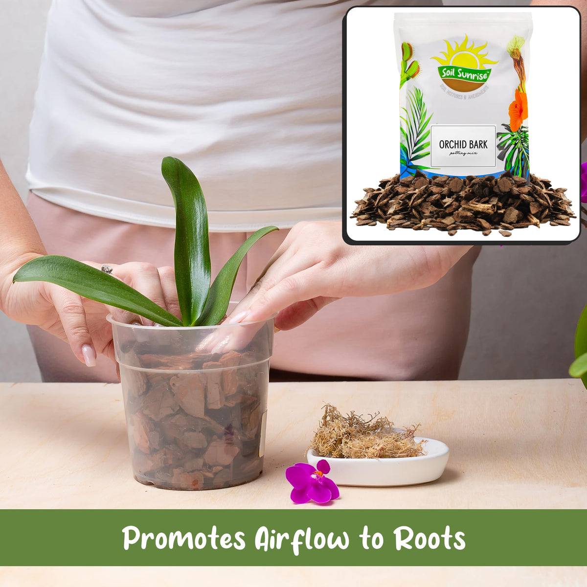 Soil Sunrise drainage-boost bark improves soilless orchid mixes and container health.