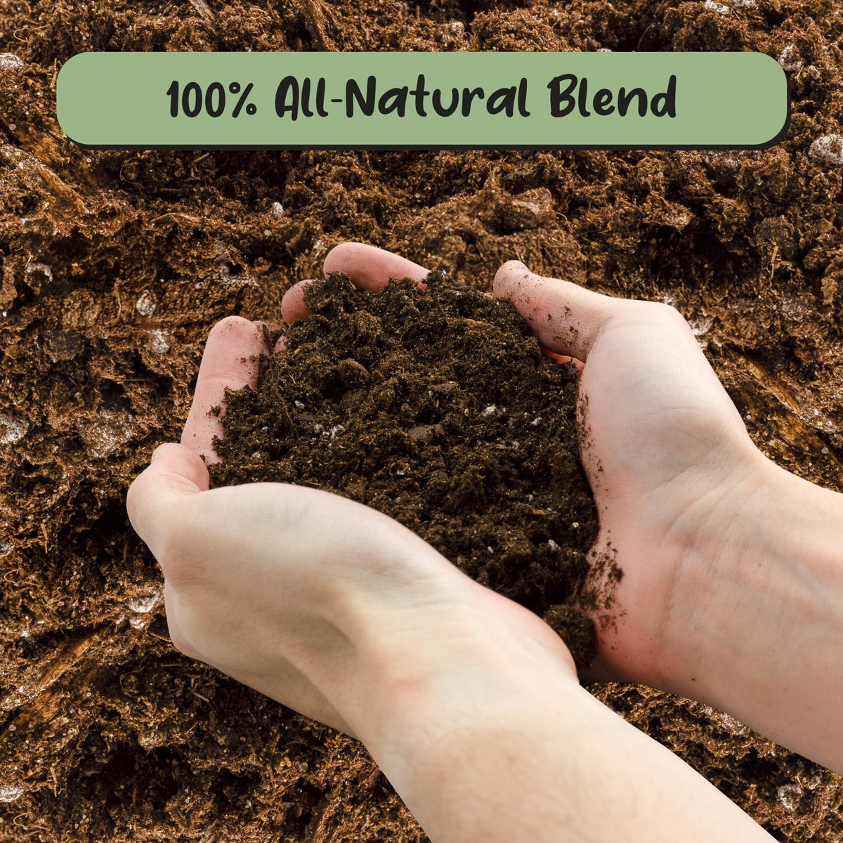 Soil Sunrise drainage-enhanced texture helps prevent soggy banana roots
