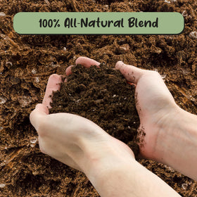 Soil Sunrise drainage-enhanced texture helps prevent soggy banana roots