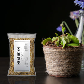 Soil Sunrise dried mealworms close-up showing texture for plant nourishment