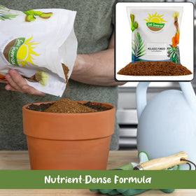 Soil Sunrise dry molasses powder dusting over soil improves texture and moisture retention