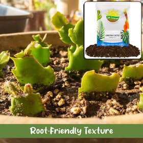 Soil Sunrise Easter Cactus potting soil for tender container planting
