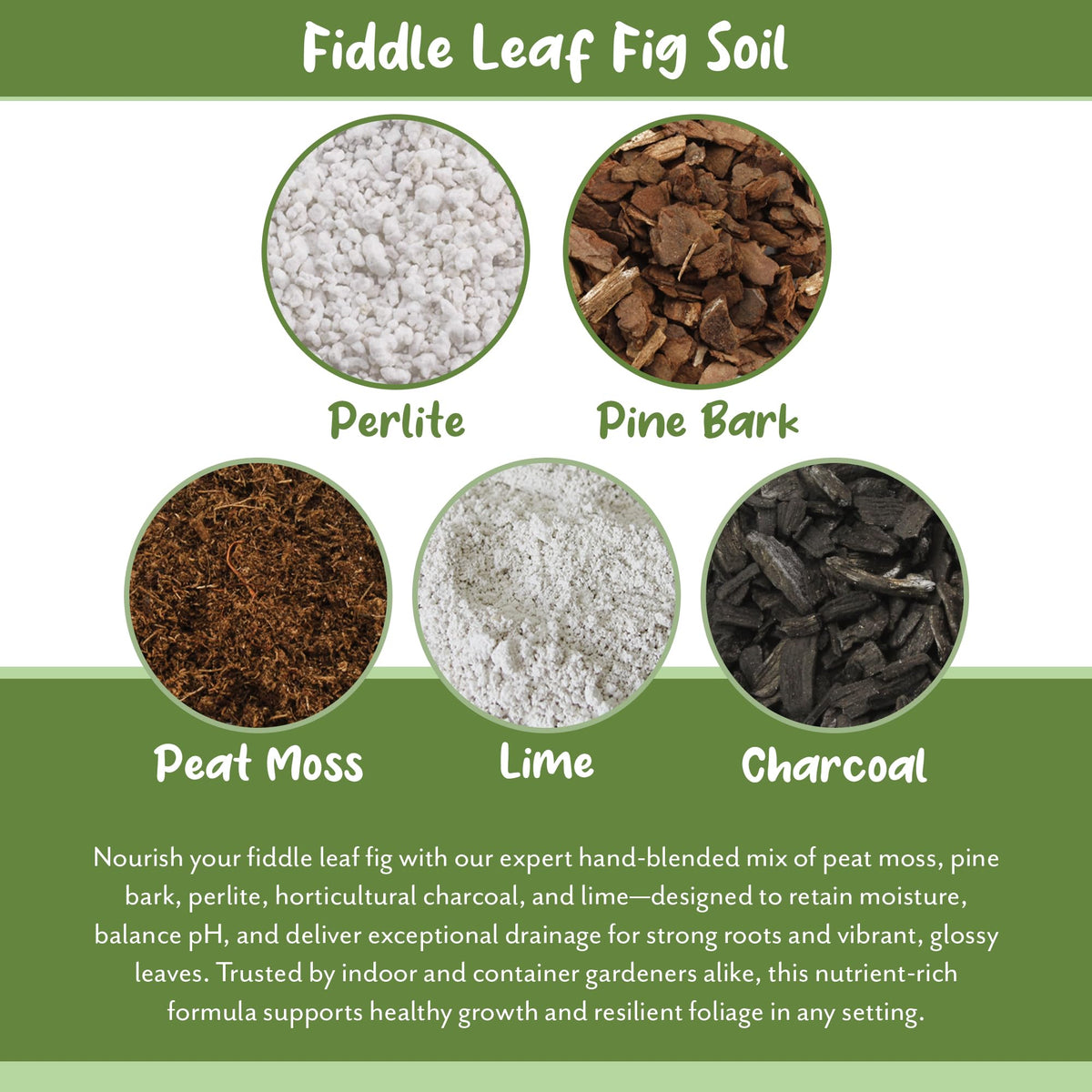 Soil Sunrise Premium Fiddle Leaf Fig Soil being measured for precise potting projects