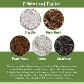 Soil Sunrise Premium Fiddle Leaf Fig Soil being measured for precise potting projects