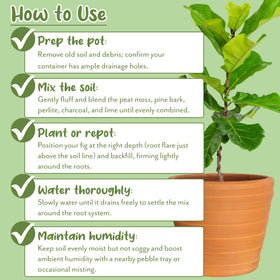 Soil Sunrise Premium Fiddle Leaf Fig Soil texture close-up highlights peat moss and bark