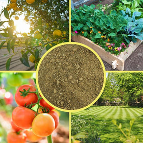 Soil Sunrise Greensand container garden scene illustrating use in raised beds
