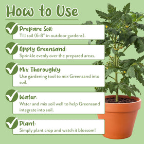 Soil Sunrise Greensand with herbs pot showing mineral support for leafy plants