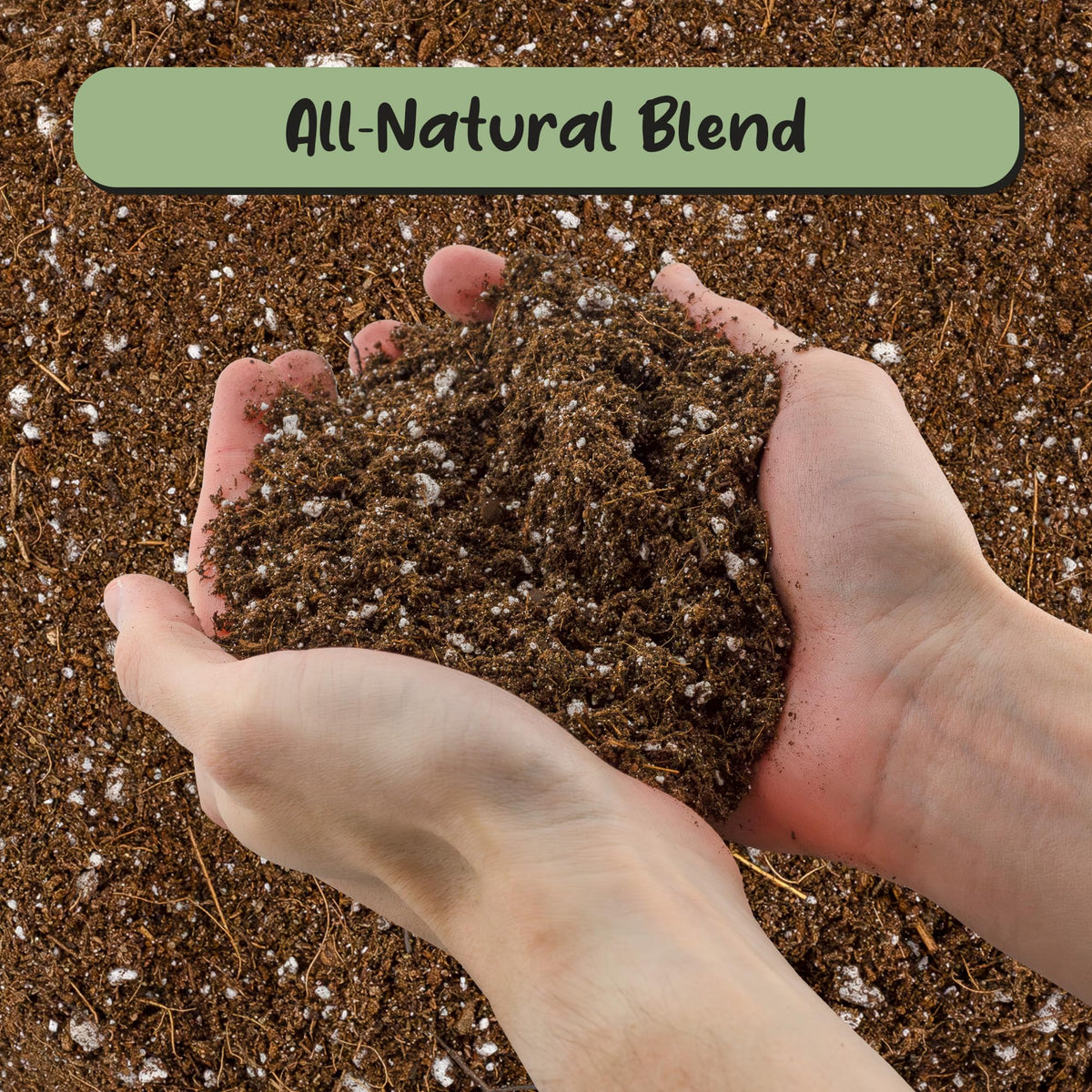 Soil Sunrise Hand Blended Small Batch Soil highlights textured mix for desert roses.