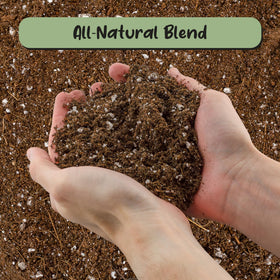 Soil Sunrise Hand Blended Small Batch Soil highlights textured mix for desert roses.