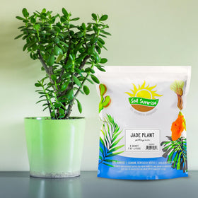 Soil Sunrise hand-blended soil mix eases repotting for succulents and indoor plants.