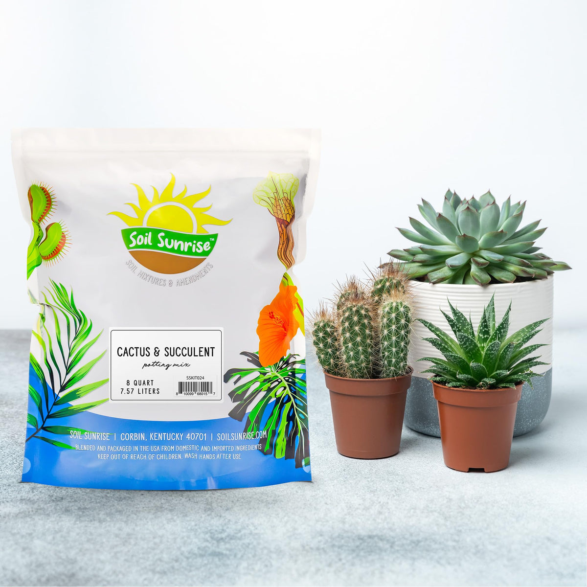 Soil Sunrise hand-scoop potting mix ready for new succulents
