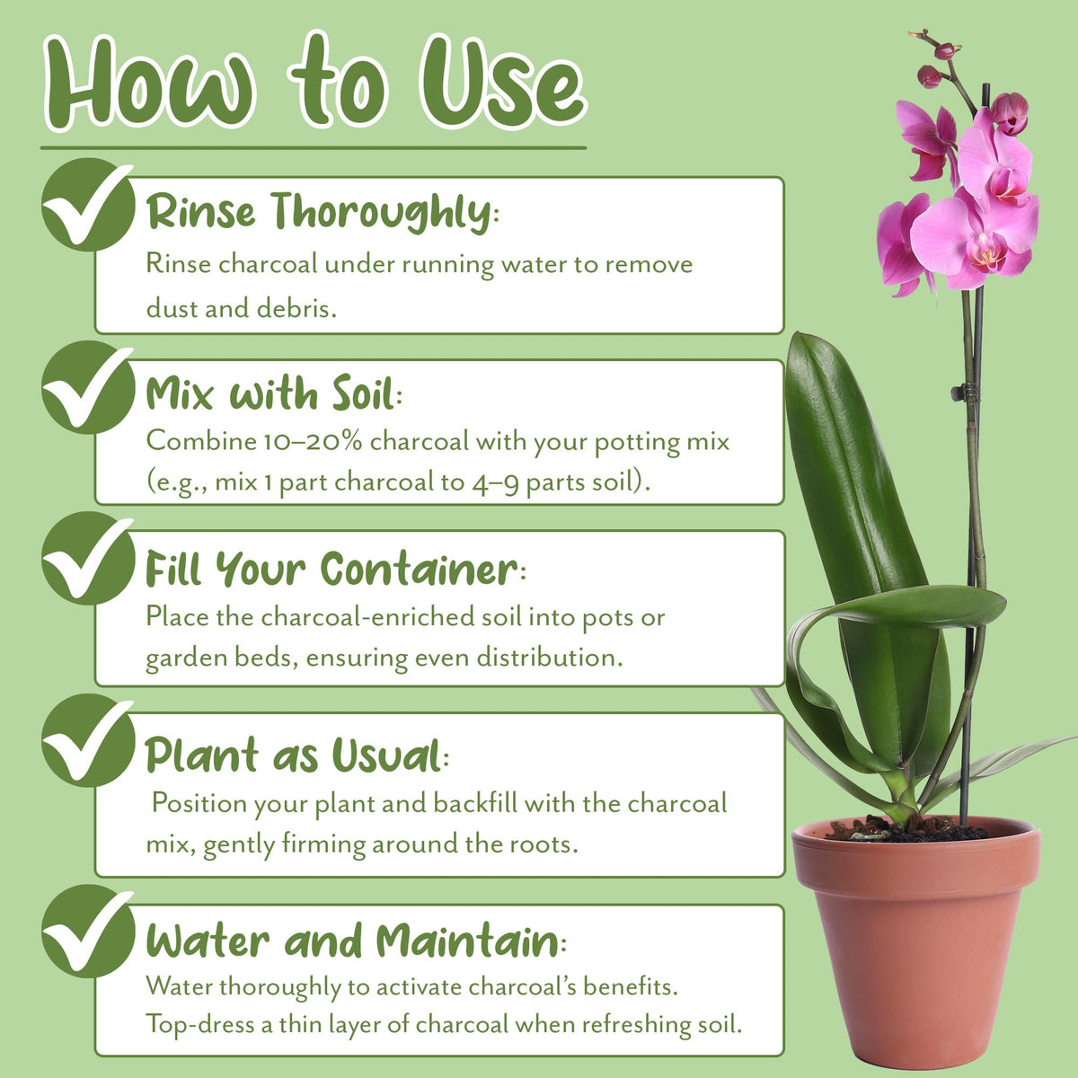 Soil Sunrise 3-gallon pot arrangement with charcoal for healthier roots