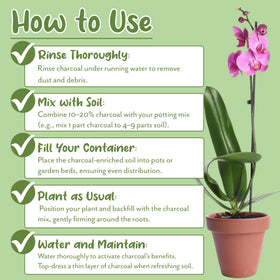 Soil Sunrise 3-gallon pot arrangement with charcoal for healthier roots
