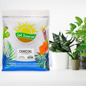Soil Sunrise charcoal chips mixed with potting soil for better drainage