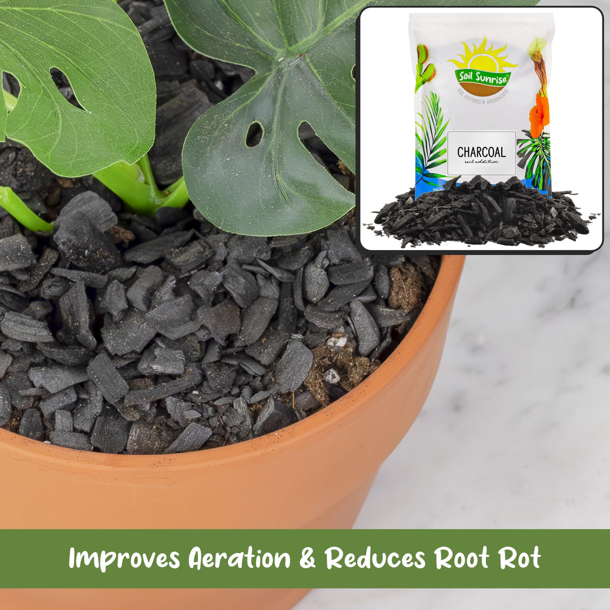 Soil Sunrise terrarium substrate layer using charcoal for cleaner air