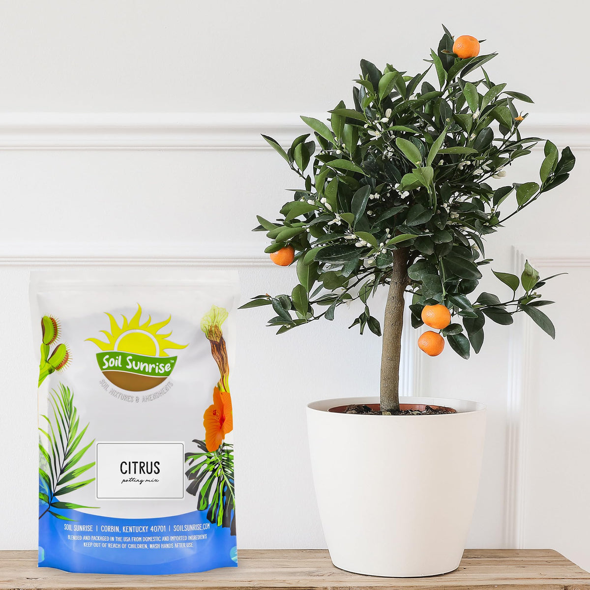 Soil Sunrise indoor-outdoor citrus potting mix shown for container planting.