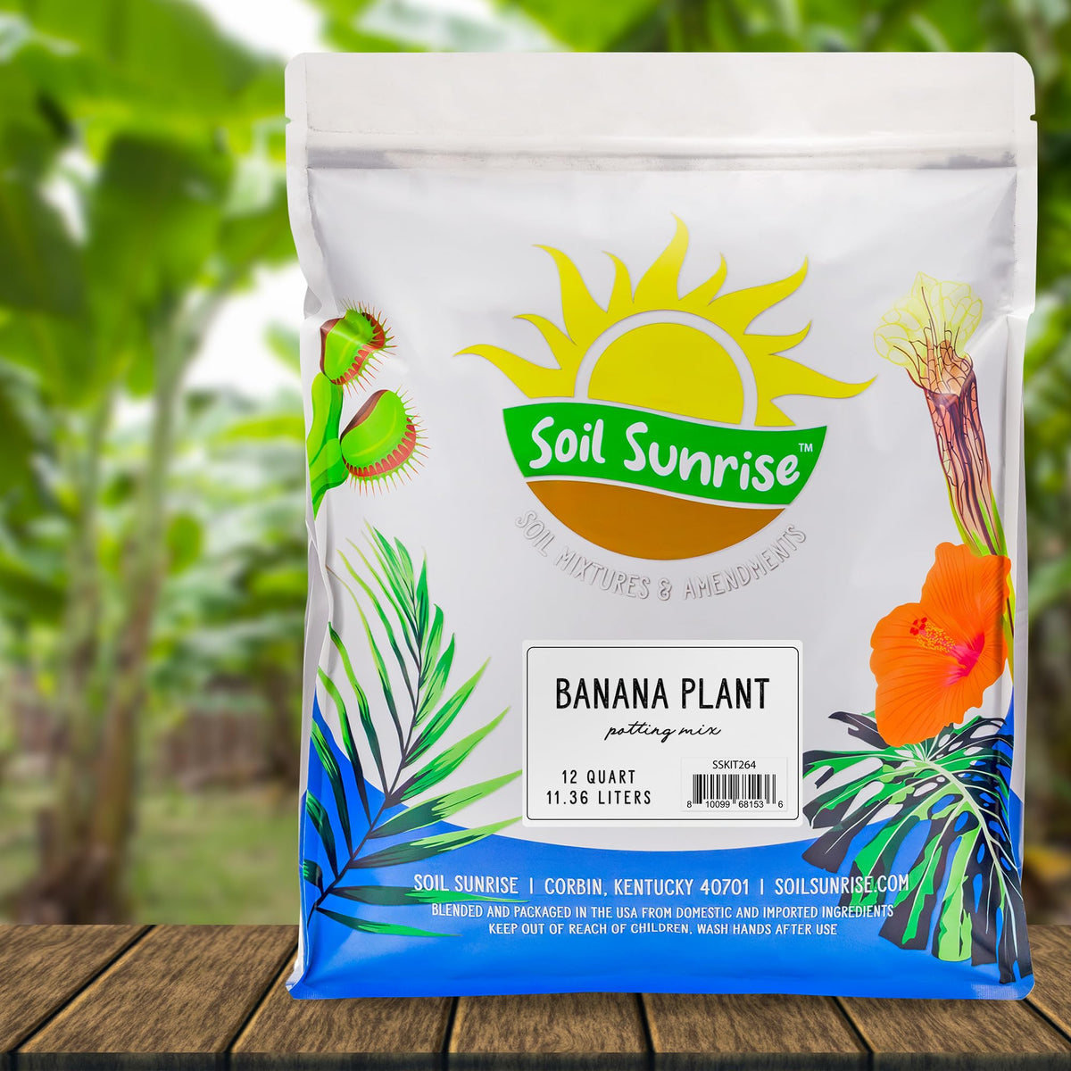 Soil Sunrise indoor-outdoor use arrangement showing versatile banana plant care