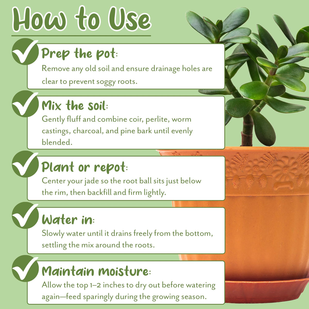 Soil Sunrise natural blend supports drainage and aeration for succulents.