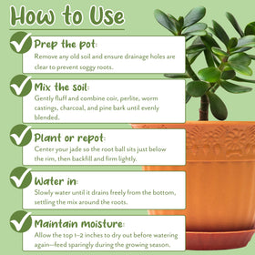Soil Sunrise natural blend supports drainage and aeration for succulents.