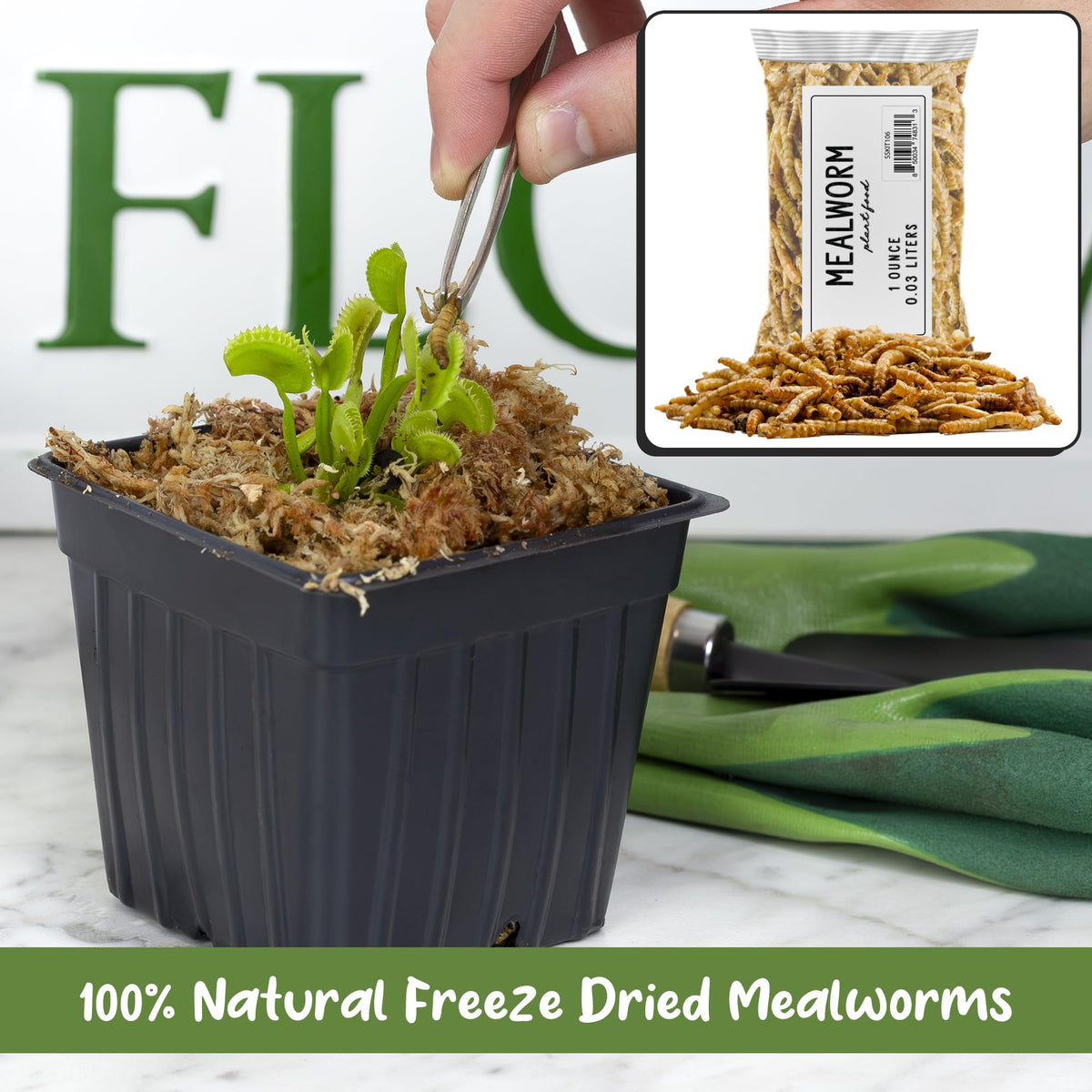 Soil Sunrise ingredients dried mealworms listing simple, clean feeding option