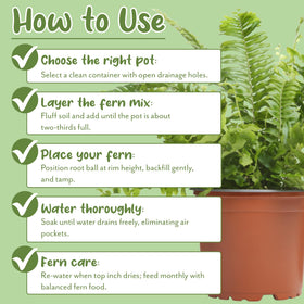 Soil Sunrise ingredients: peat moss, pine bark, perlite, sand.