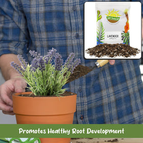 Soil Sunrise 8qt bag resting on patio, ideal for easy container lavender pots.