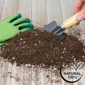 Soil Sunrise lavender herb garden setup demonstrates indoor-outdoor versatility.