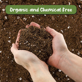 Soil Sunrise lavender potting mix texture highlights drainage and soil structure for healthy roots.