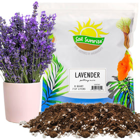 Soil Sunrise lavender potting soil in a bag, ideal for container lavender growth.