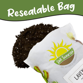 Soil Sunrise worm castings contribute gentle nutrition for lavender containers.