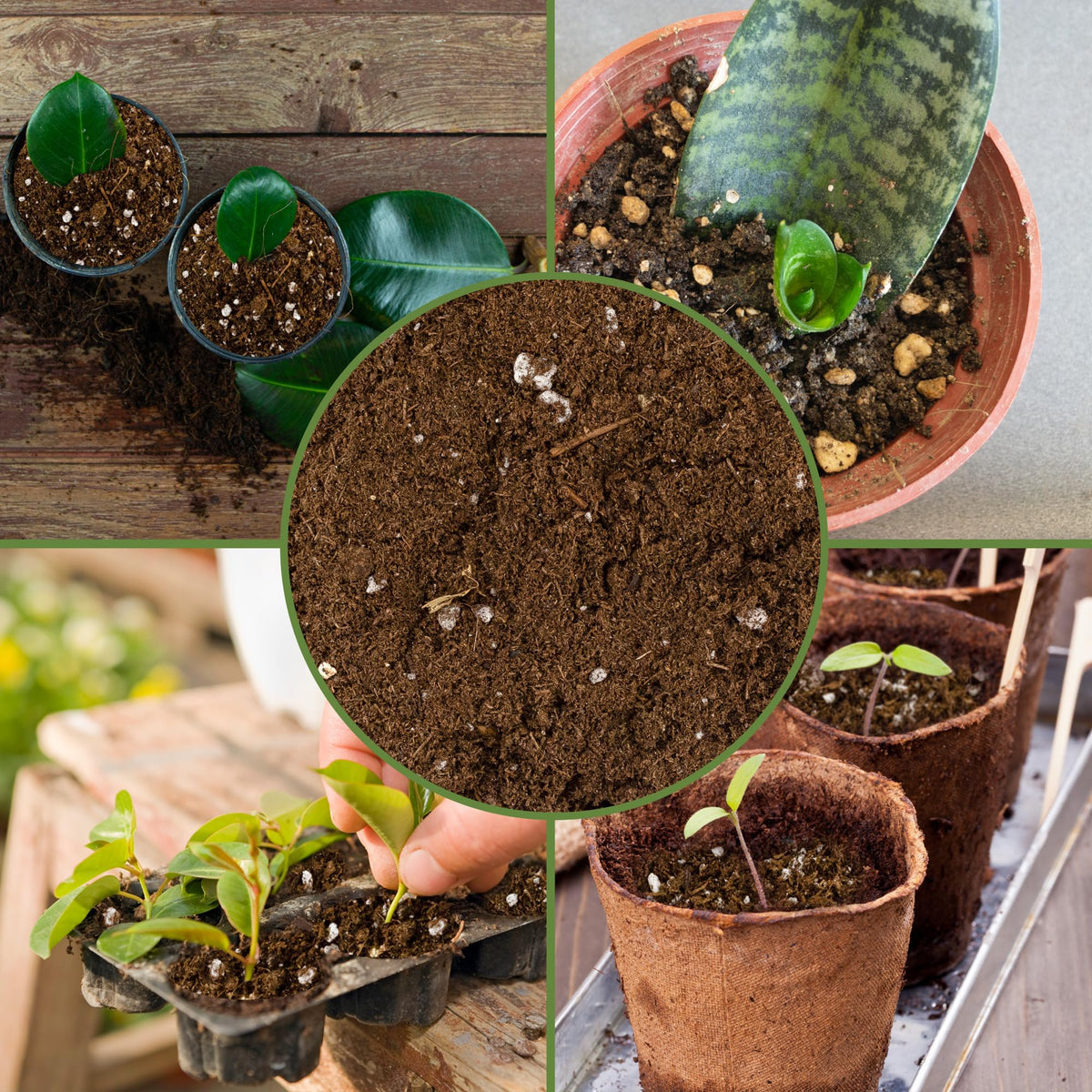 Soil Sunrise lime highlights pH balance for plant compatibility.