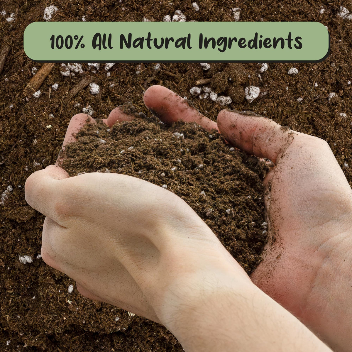 Close-up of textured Soil Sunrise mix with peat, perlite, and worm castings