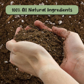 Close-up of textured Soil Sunrise mix with peat, perlite, and worm castings