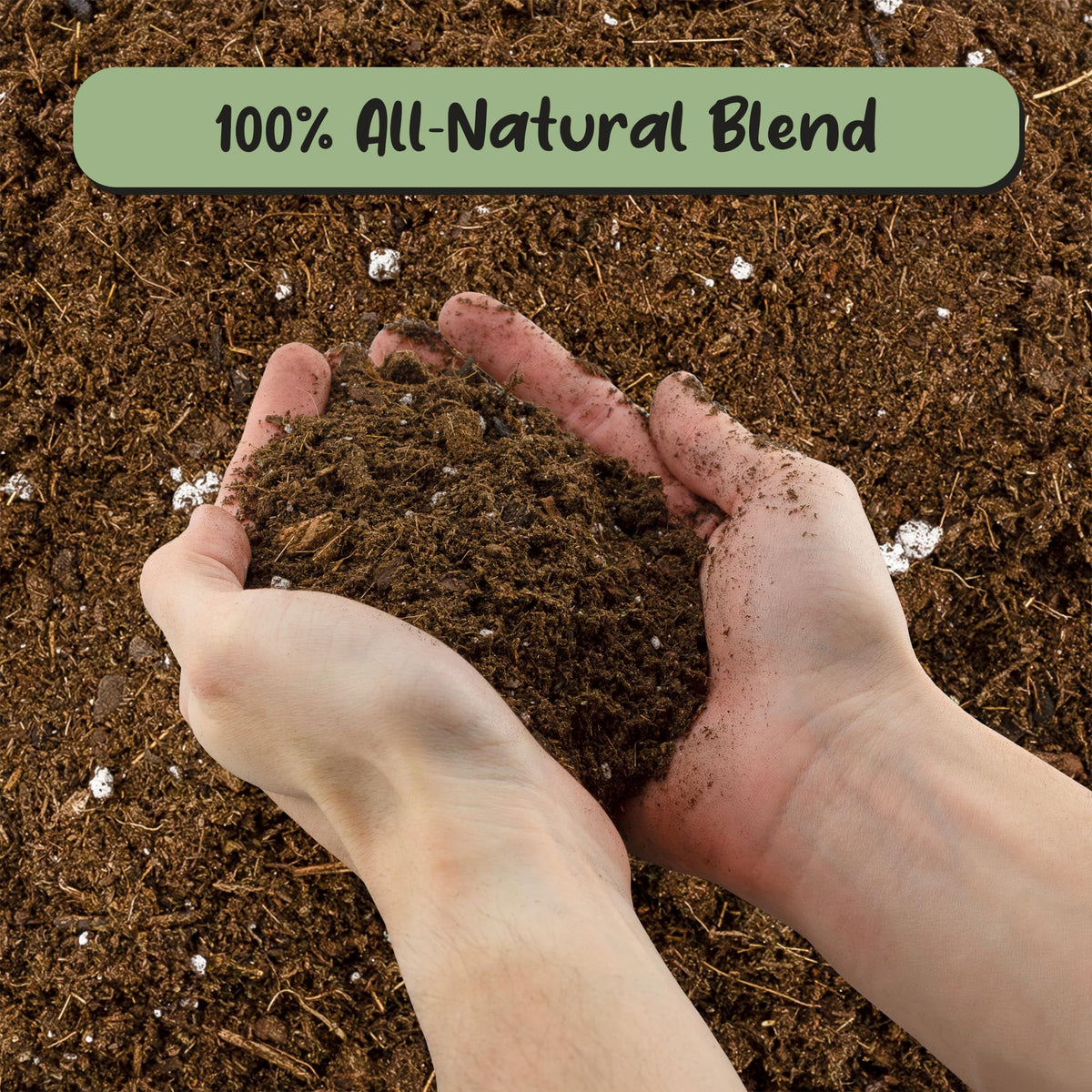 Close-up texture of Soil Sunrise mix showing worm castings for organic humus