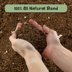 Close-up texture of Soil Sunrise mix showing worm castings for organic humus