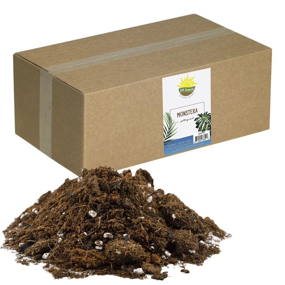 Soil Sunrise Monstera mix bag highlights the blend designed for healthy Monstera growth.