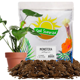 Soil Sunrise Monstera mix pour supports quick moisture distribution for healthy roots.