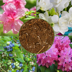 Soil Sunrise natural acidity boost with pine for acid-loving plants.