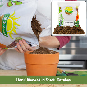 Soil Sunrise natural eco-friendly blend supports sustainable home gardening.