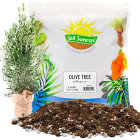 Soil Sunrise olive-tree potting mix bag front supports healthy container olive trees.
