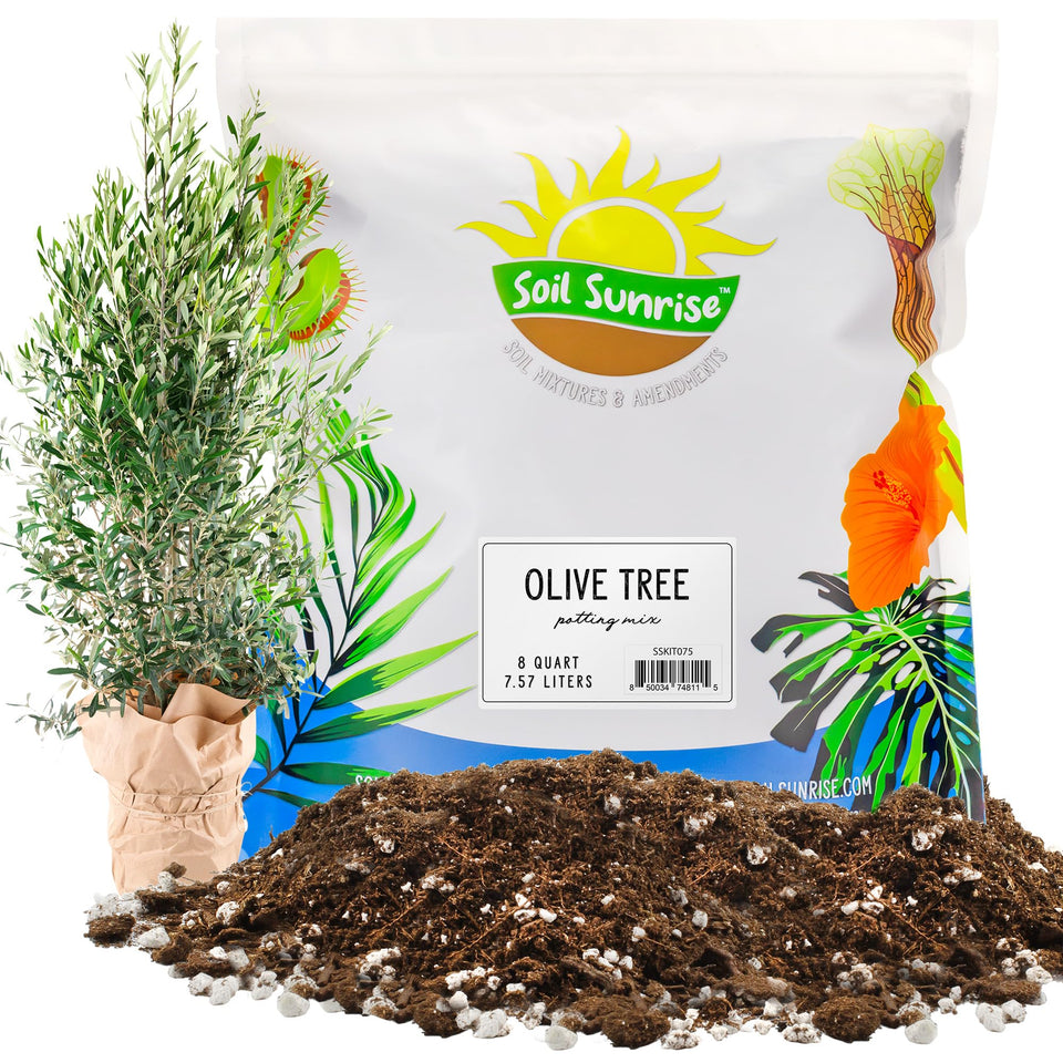 Soil Sunrise olive-tree potting mix bag front supports healthy container olive trees.