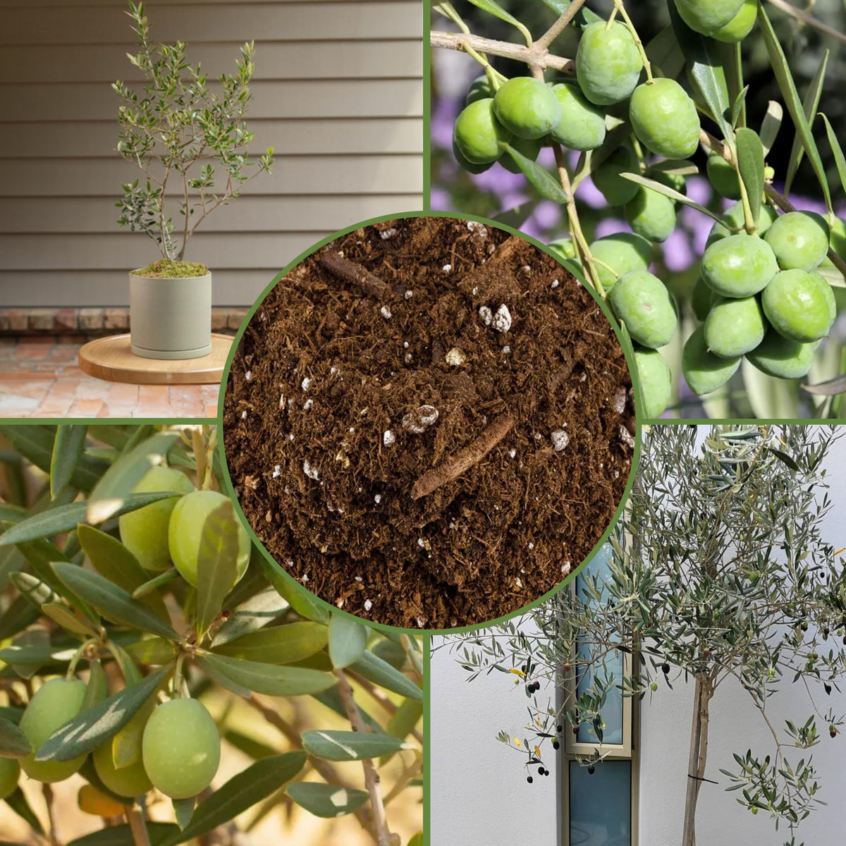 Soil Sunrise bag-open image reveals crumbly, moisture-retaining mix.