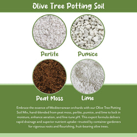 Soil Sunrise closed-pack shot features lime and pumice texture.
