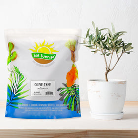 Soil Sunrise texture close-up highlights nutrient-rich blend for olive roots.