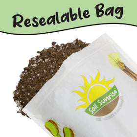 12 quarts of Soil Sunrise olive tree potting soil mix ready for gardeners